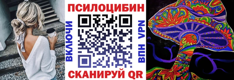 Галлюциногенные грибы Psilocybine cubensis  Барыш 